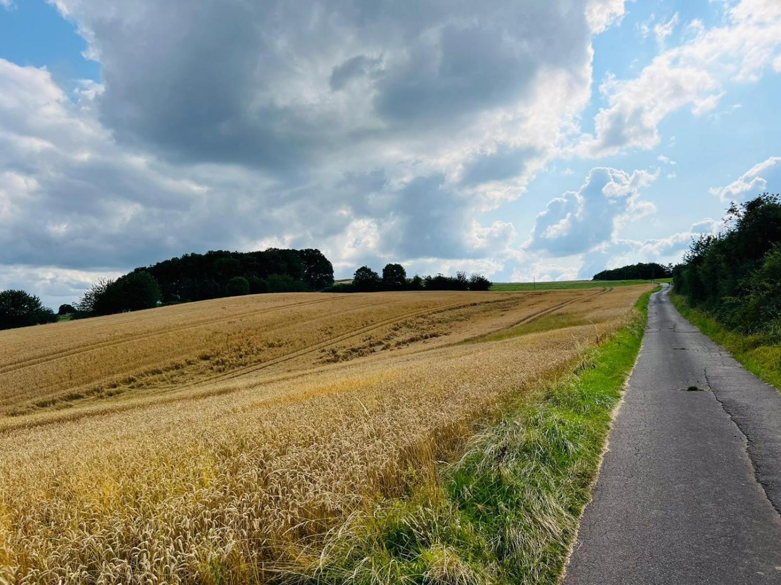 Ferienwohnung In Der Schoenen Eifel! Mechernich Eksteriør bilde