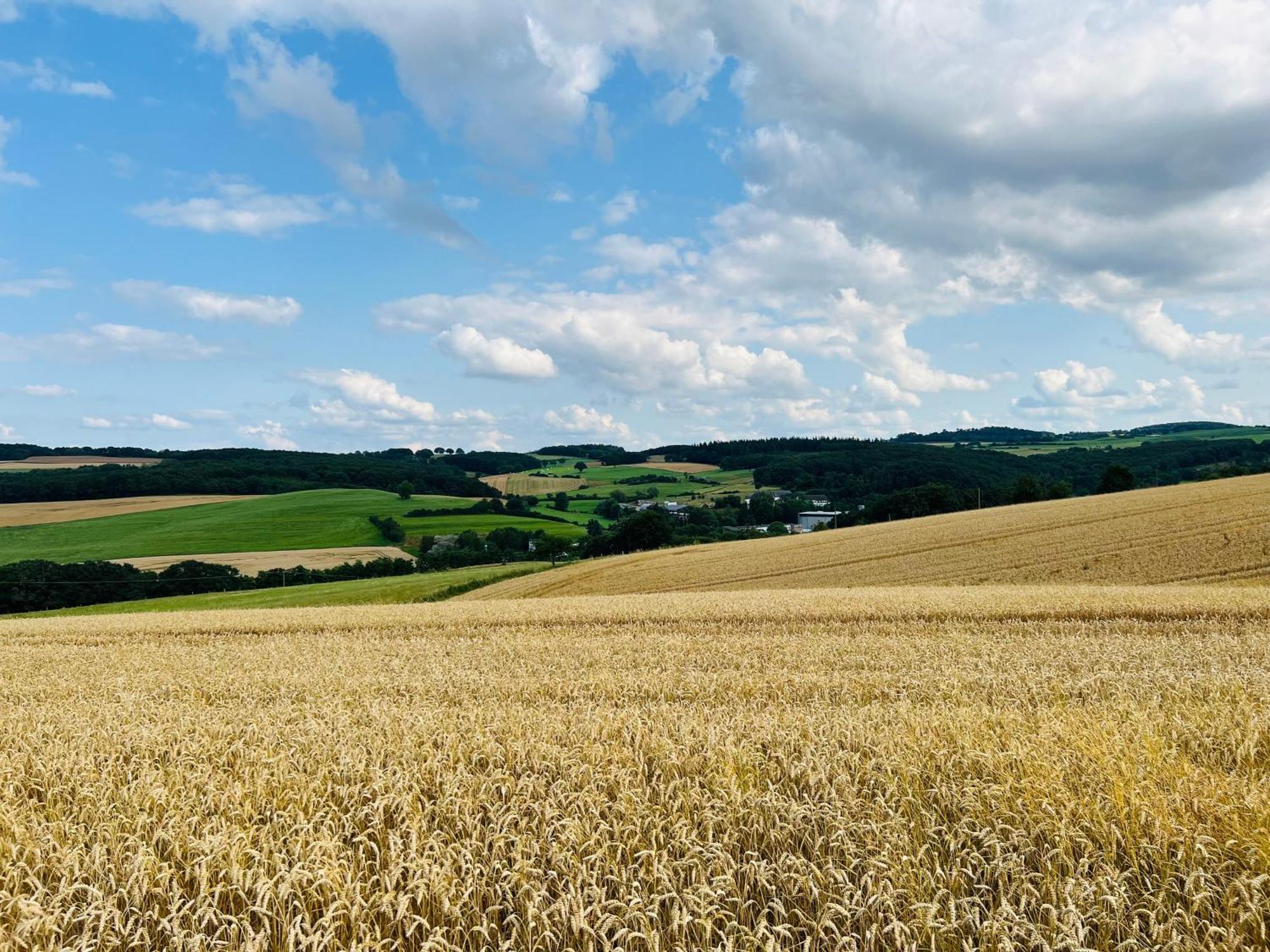 Ferienwohnung In Der Schoenen Eifel! Mechernich Eksteriør bilde